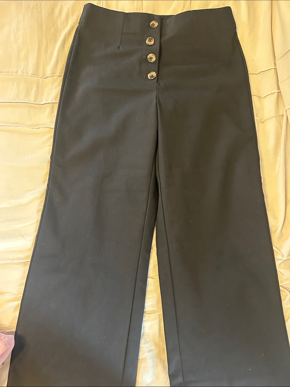 LOFT Black Wide-Leg Button-Front Pants